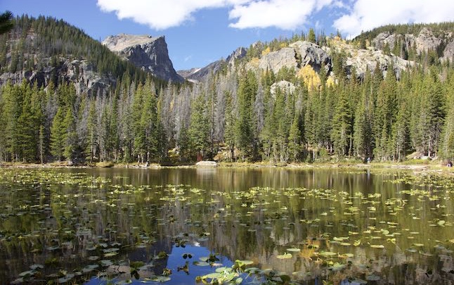 Nymph Lake l in Rocky Mountain National Park